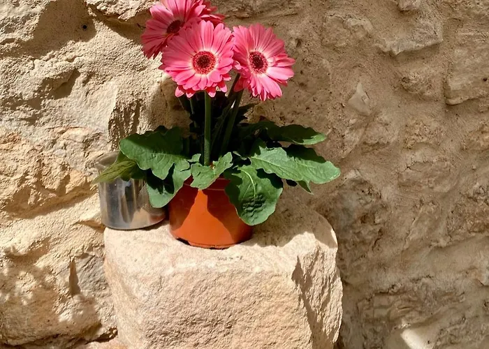 El Corral De Hotel 3*